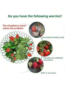 1/3/5/10Pcs Upgraded Patent Strawberry Bracket | 4-Leg Three Dimensional Support Frame Anti Dumping, Anti Rotten Fruit, Anti Pest, Breathable Tray, Suitable For Balconies, Potted Plants, And Gardens