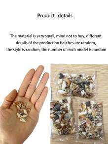 1000g/500g-Natural Shell And Conch Decoration, Natural Sea Scallops, Mixed Starfish And Sea Scallops, Various-Sized Sea Scallop Decoration, Beach-Themed Parties, DIY Handicrafts, Fish Tank Filling, Home Decoration, Wedding Decoration