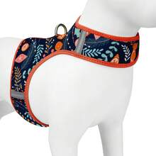 Modischer bedruckter Hundegeschirr für kleine Hunde, atmungsaktives Mesh-Material, Schnappverschluss, leicht an- und ausziehbar, verstellbarer Klettverschluss für Spaziergänge mit Hunden Outdoor - Verschiedenfarbig - Übersicht 11