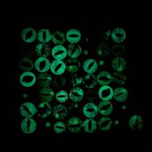 Glow In The Dark Animal Eyes Cabochons - 20 Pairs Mixed Glass Eyes For DIY Crafts, Toys (Dragon, Snake, Lizard, Owl)