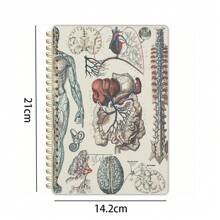 1 Stück Vintage Anatomie Spiralnotizbuch mit menschlichen Gefäßen - für Medizinstudenten, Krankenschwestern und Naturwissenschaftsenthusiasten - einzigartiges Krankenpflege-Abschlussgeschenk, einzigartiges Design, Titelbild mit Bildungsmotiv, Schulmaterial, Schulanfang