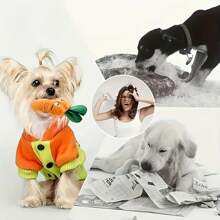 Sets de 5/10 juguetes chillones aleatorios para perros - Juguetes de peluche interactivos para masticar, sin batería requerida, patrones lindos surtidos, adecuado para alivio de la dentición y el aburrimiento, apto para todas las razas y tamaños