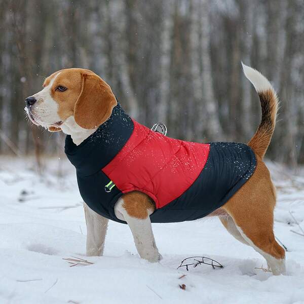 Jaqueta de Inverno Quente para Cachorro, Adequada para Cachorros de Tamanho Pequeno e Médio como Chihuahua, Labrador, Buldogue Francês