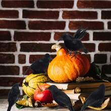 Realistic Feather Crow Decoration, Plastic Fake Crow Decor For Halloween, Lifelike Simulation Bird Model