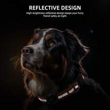 Pet Basic Dog Collars - Turuncu - Görünüm 4