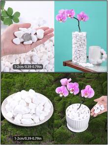 100/300/500/800g Decorative Pebble White -0.3-3cm Various Sizes Of Natural Stone Decorative Stones, Suitable For Outdoor Garden Plant Potted Plants, Flower Pots, Vases, Succulents, Hydroponic Green Plants As Decoration White Stone Rice, Can Also Be Used As Material Decoration Sand For Aquarium Fish Tanks, Micro Landscapes, Sand Tables, Very Suitable For Indoor Plants, Outdoor Balconies, Garden Courtyards, Garden Paths As Paving Stones