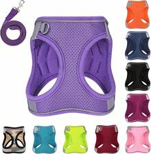 Dog Harness With Leash Set, No-Pull Step-In Reflective Pet Harness With 1 Leash Clips, Adjustable Soft Padded  Dog Vest Small Medium Large Dogs, Cats(Bright Red, XXXSmall)8GGY - 紫色 - 查看 12