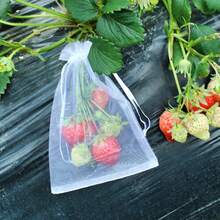 100 piezas Bolsas de malla de nailon blanco, bolsas protectoras de frutas, bolsas de jardín para control de insectos y plagas para fresas, uvas, verduras y plantas, con cordón