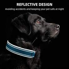 Pet Basic Dog Collars - Ocean Blue - View 6