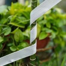 重型棘轮捆绑带，用于运输设备、摩托车、自行车、搬家、行李和露营，重型尼龙织带卷固定带，2cm/3cm/4cm 多用途缝纫和捆绑带，适用于 DIY 项目、行李、交通维护、帐篷绳等。10m/20m/30m/50m/100m