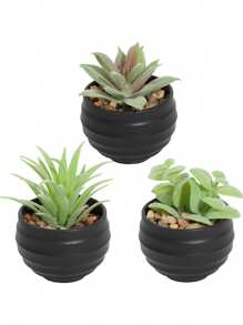 3pcs/Set Artificial Succulent Plants, Green Succulents With White And Black Pots, Decorative For Spring/Summer, Valentine's Day Gift, Artificial Plants, Potted Plants, PE Material, Tabletop Decor, Home Decor, Garden Decor, Dorm/Office Decor, Outdoor Events/Parties, Hotel/Restaurant/Bedroom/Wedding Decoration, Year-Round Decor, Green Decor Gifts Birthday Graduation