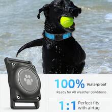 Pet Basic Dog Collars - Ocean Blue - View 2