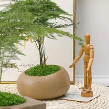 40g/80g/300g Simulated Moss Artificial Lawn, Christmas Simulated Artificial Moss Micro-Landscape Arrangement, Green Plant Artificial Lawn, Garden Pot Plant Decoration (Does Not Include Plants And Soil)