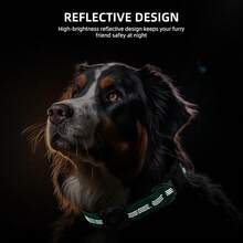 Pet Basic Dog Collars - Teal - View 4
