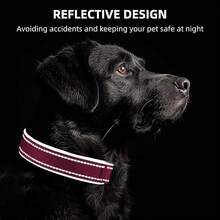 Pet Basic Dog Collars - Red - View 6