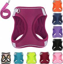 Dog Harness With Leash Set, No-Pull Step-In Reflective Pet Harness With 1 Leash Clips, Adjustable Soft Padded  Dog Vest Small Medium Large Dogs, Cats(Bright Red, XXXSmall)8GGY - 紅色 - 查看 12