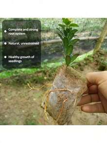 100  Non-Woven Fabric Seed Start Bags - White Fabric Planting Bags, Suitable For Home Gardens And Agricultural Uses, Soil Transplanting And Seedling Growth - White - View 3