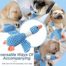 1 件宠物声音玩具大型吱吱叫狗玩具-毛绒狗玩具，面料柔软，适合小型、中型和大型犬日常陪伴宠物野鸭狗玩具狗咀嚼吱吱叫的野鸭益智训练玩具可爱柔软狗咀嚼耐咬玩具宠物用品双撬野鹅咬宠物玩具狗咬不坏泰迪小型犬玩具毛绒玩具 - 藍色 - 查看 11