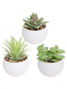 3pcs/Set Artificial Succulent Plants, Green Succulents With White And Black Pots, Decorative For Spring/Summer, Valentine's Day Gift, Artificial Plants, Potted Plants, PE Material, Tabletop Decor, Home Decor, Garden Decor, Dorm/Office Decor, Outdoor Events/Parties, Hotel/Restaurant/Bedroom/Wedding Decoration, Year-Round Decor, Green Decor Gifts Birthday Graduation