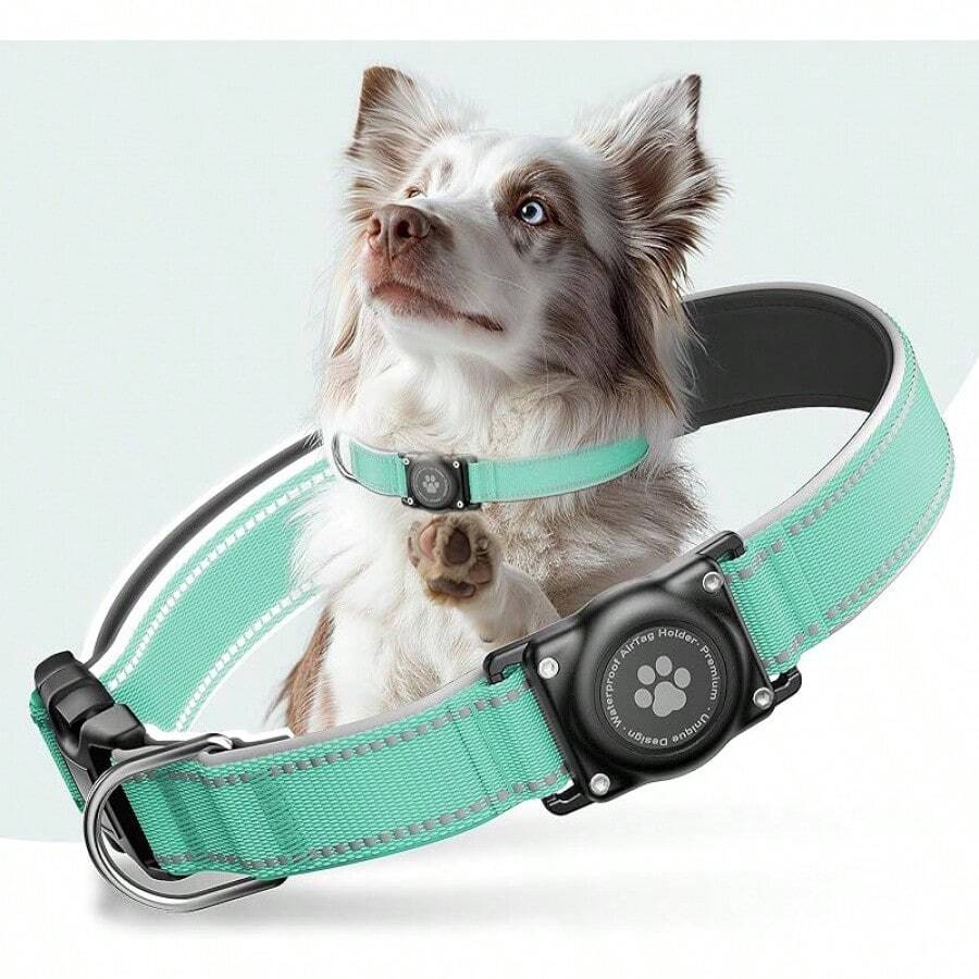 Pet Basic Dog Collars - Aqua - View 1