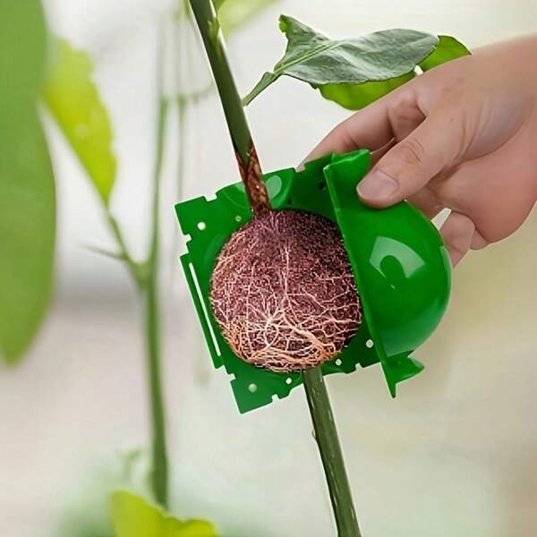Caja para crecimiento de raíces, herramientas de injerto de bolas de enraizamiento, propagación de plantas de alta presión, pods de estratificación aérea, dispositivos de corte y injerto de plantas, bolas de raíz aérea y propagación para jardinería y silvicultura