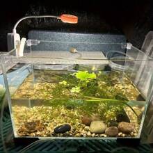 1/2 Unidades Lámpara de iluminación para acuario con pinza, 3 fuentes de luz de color, conmutación entre modos de luz blanca, cálida y neutra, brillo ajustable, cabeza giratoria 360°, flexible y portátil, tamaño pequeño, alimentada por batería (batería no incluida)/versiones recargables, adecuada para plantas de acuario, recipiente de vidrio, pequeño estanque de agua dulce, accesorio de iluminación para acuario, lámpara para pecera, lámpara para libros pequeños