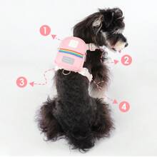 3pcs Dog Walking Set: Harness, Carrier Bag & Leash, Breathable Mesh Vest Harness With Buckle, Suitable For Small Dogs & Cats