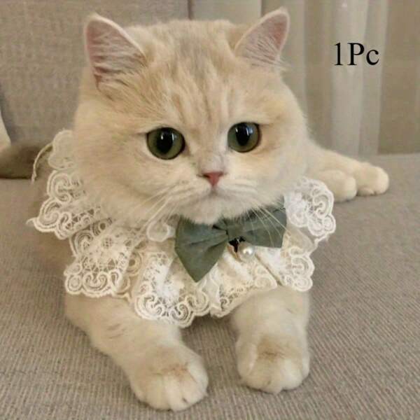 1 قطعة وشاح أنيق بشكل فراشة للقطط والأميرات، قلادة رقبة أنيقة لتزيين الحيوانات الأليفة، لاكتساب صور جميلة