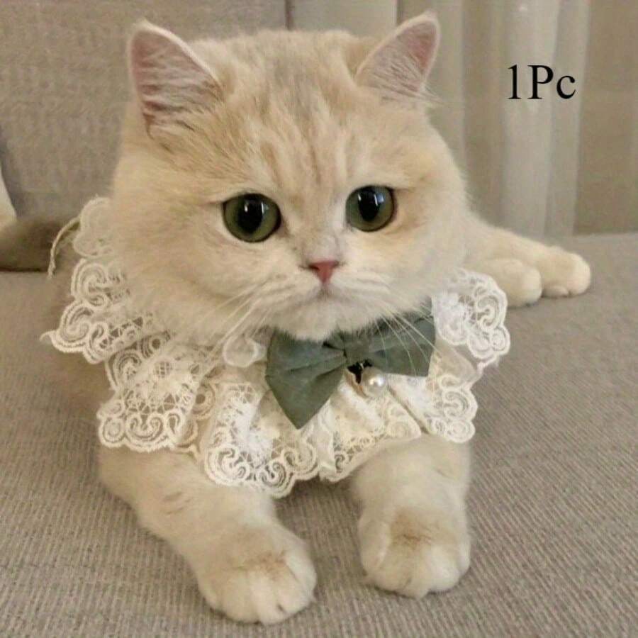 1 قطعة وشاح أنيق بشكل فراشة للقطط والأميرات، قلادة رقبة أنيقة لتزيين الحيوانات الأليفة، لاكتساب صور جميلة