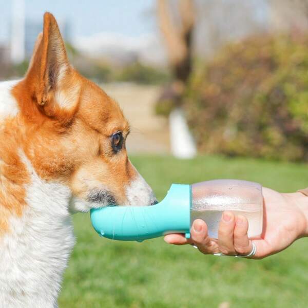 1 pezzo Ciotola per acqua da compagnia per animali da compagnia per uso esterno, alimentatore d'acqua multifunzionale portatile per bere degli animali domestici