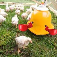5/1pc Automatic Poultry Drinker Bowl, Red Plastic Chicken Waterer Kit - Duck, Goose, Turkey, Rabbit Watering System, Automatic Water Refilling Drinker Without Electricity, Suitable For Farm Animals - A - View 5