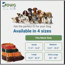 Pet Basic Dog Collars - Raven - View 11