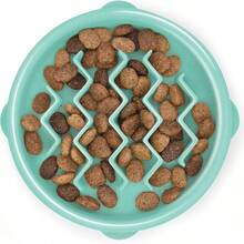 Outward Hound Medium Slow Feeder Bowl, Puzzle Maze Fast Eaters, Small To Medium Dogs, Helps Prevent Bloat & Aid Digestion, Holds 2 Cups Wet Or Dry Food, Non-, Made Without BPA, Turquoise - BẰNG - Xem 12
