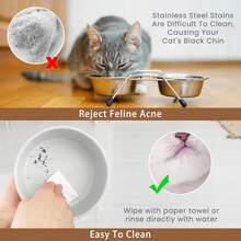 Ceramic Cat/Dog Bowl With Anti-Slip Wooden Stand, Elevated Pet Food & Water Bowl, Round Pet Feeding Bowl, Dishwasher , Easy To Clean - White - View 5