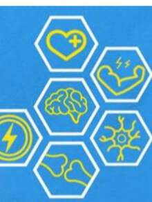 Complejo de triple magnesio BioEmblem | 300mg de glicina de magnesio, malato y citrato para músculos, nervios y energía - Azul - Ver 7