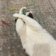 Thin Colorful Springs Cat Toys - Bouncy Coils For Medium Indoor Cat Breeds To Bite, Swat, Chase - Keeps Cats & Kittens Entertained For Hours - 3 Inches Long, 10 Pcs, Multi Colors - 2 Inch - View 4