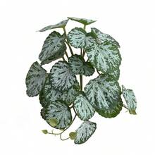 1 件仿真植物龟背竹，带茎假叶，假植物，客厅酒店窗户办公室装饰，家居装饰，房间装饰，耐用塑料水生装饰，适用于鱼缸和爬虫缸 - 逼真的水生植物效果 - 23葉 - 查看 19