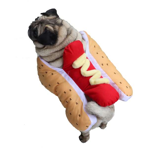 1 pieza Disfraz de perro de moda y divertido de hot dog