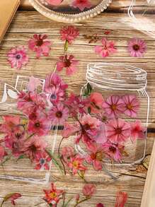 20PCS Botanical Specimen Creative Bookmarks - Clear Bookmarks Handmade DIY Dried Flower Bookmarks - Bookmarks Page Markers - For Students Teachers Classrooms Home Offices Reading Supplies Back To School - Perfect Holiday Gift!