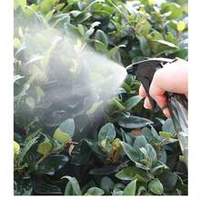 1pc Multi-Functional Garden Watering Pot, Transparent Plastic Spray Bottle For Hair Misting And Hydration