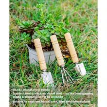 XNHHWPlant Repotting Mat 5Pcs Succulent Tools Mini Garden Small Gardening Tools Indoor Pruning Shear Gardening Scissor Hand Kit For Bonsai Cactus Fairy Houseplant Transplanting Seedling3ll5 - Green - View 5