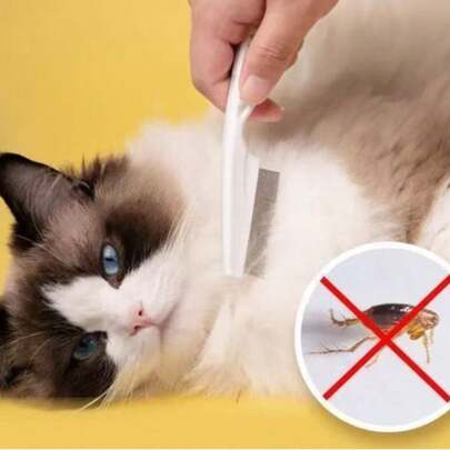 1 件装狗狗美容除蚤梳，不锈钢细齿宠物除毛刷，用于去除猫狗身上的跳蚤、蜱虫和松散毛发，宠物美容用品