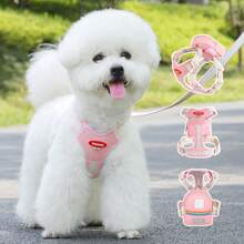 3pcs Dog Walking Set: Harness, Carrier Bag & Leash, Breathable Mesh Vest Harness With Buckle, Suitable For Small Dogs & Cats