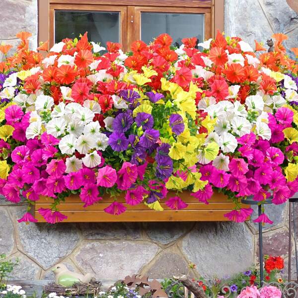 12 Bunches Artificial Flowers, UV Resistant Artificial Plants, Silk Bindweed Home Decoration, Pot, Porch Decor