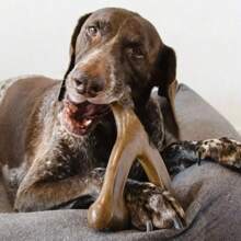 1 pieza Juguete masticable de alta calidad y duradero para perros, palito dental para perros, juguetes naturales resistentes a mordeduras para cachorros