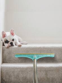 Îndepărtator de păr de animale pentru covor – Perie puternică de scame pentru curățare profundă, mâner extensibil de 45", instrument eficient de îndepărtare a părului de animale pentru câini și pisici – Mătură reutilizabilă pentru blană, răzuitor reglabil pentru covoare, perfect pentru proprietarii de animale de companie – Îndepărtator de păr pentru podea și mobilier - Multicolor - Vizualizare 7