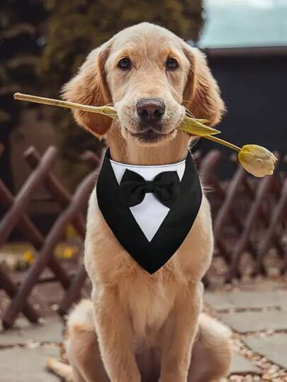 Dog Tuxedo, Formal Dog Wedding Bandana, Dog Collar With Bow Tie, Dog Birthday Costume, Adjustable Pet Party Tux Dog Wedding Attire, Dog Valentines Outfit Cosplay For Small Medium Large Pets