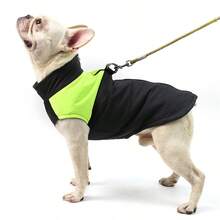 Veste d'automne/hiver pour chien, manteau pour animaux de compagnie coupe-vent et imperméable avec anneau pour laisse, gilet de marche pour animaux de compagnie simple et pratique, convient aux petits et moyens chiens - Vert - Voir 8