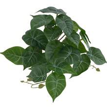1 件仿真植物龟背竹，带茎假叶，假植物，客厅酒店窗户办公室装饰，家居装饰，房间装饰，耐用塑料水生装饰，适用于鱼缸和爬虫缸 - 逼真的水生植物效果 - 23葉 - 查看 16