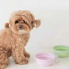 宠物折叠硅胶碗650毫升户外旅行水碗方便携带可折叠宠物食物饮水容器盘子和碗 - 白色 - 查看 3